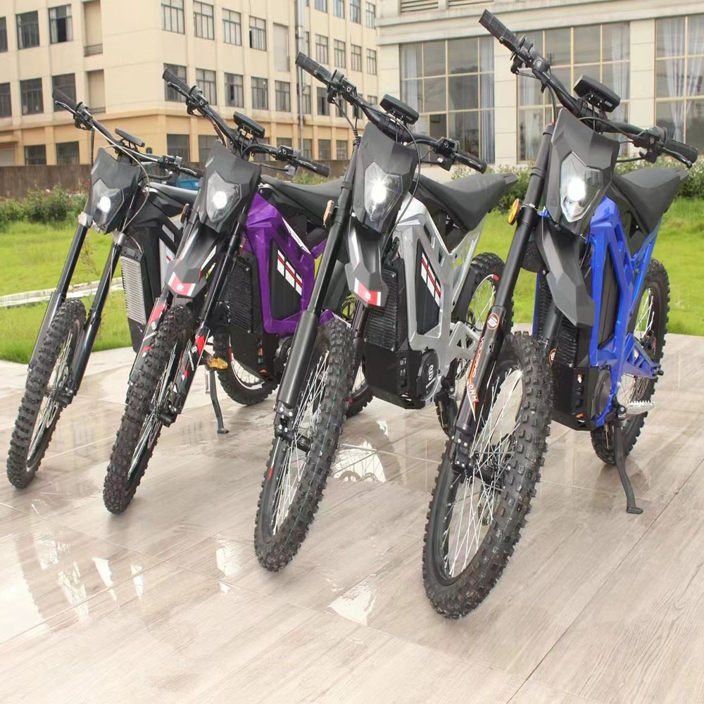 professional electric dirt bike manufacturer